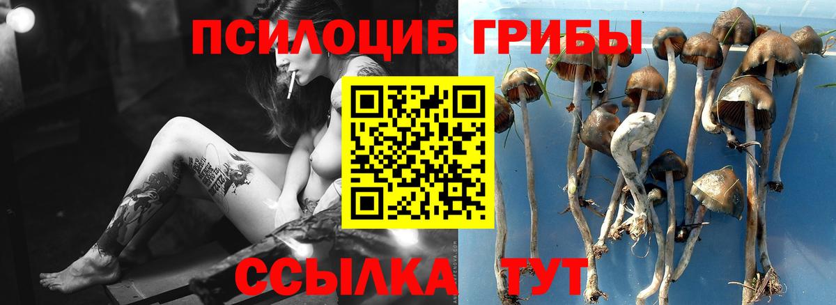 где купить наркотик  Галлюциногенные грибы ЛСД  Сланцы  Вход с VPN  Псилоцибиновые грибы мухоморы 
